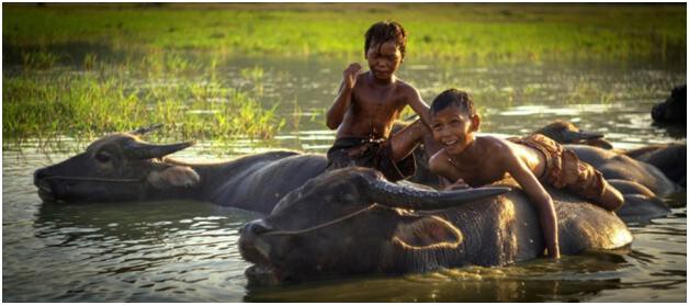 Children Buffalo 3