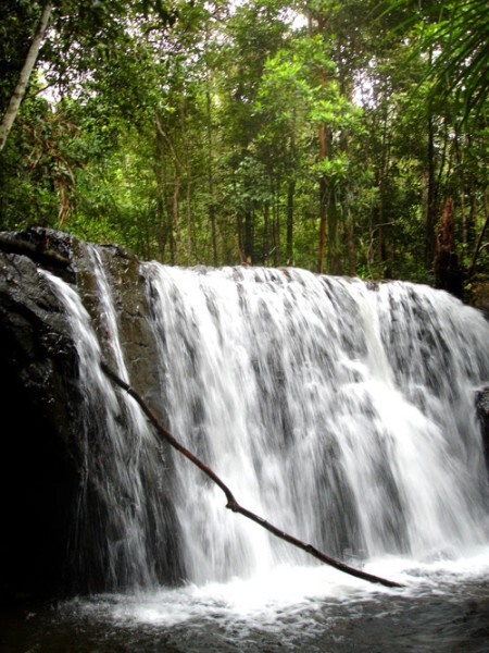 Tranh Stream In Rainy Season Orig